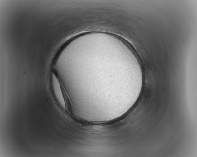 X0000088851507200707061023