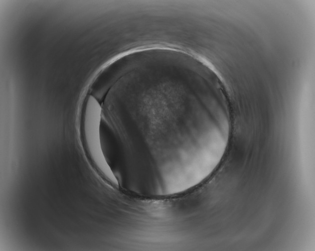 X0000088851508200707061023