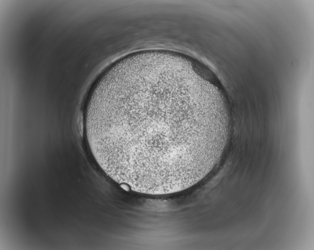 X0000088851509200707061023