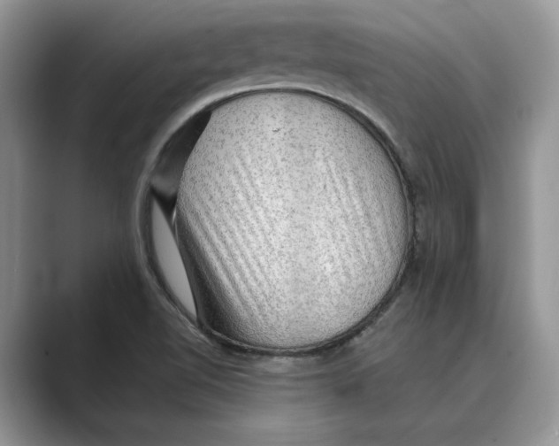 X0000088851510200707061023