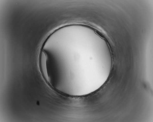 X0000088851512200707061023