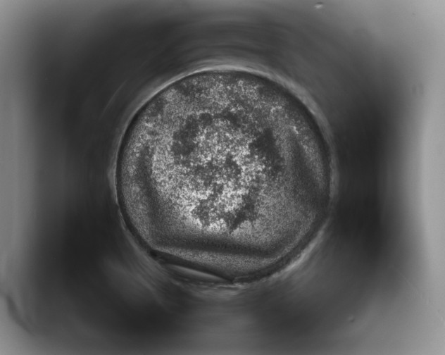 X0000088851513200707061023