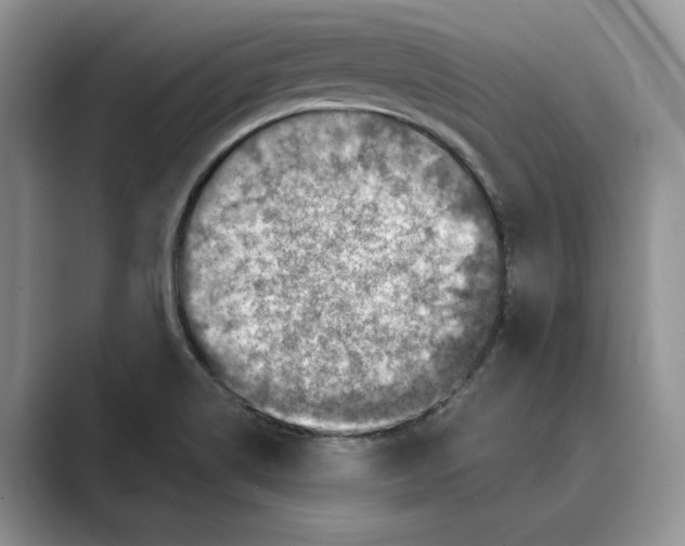 X0000088851514200707061023