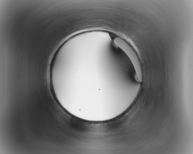 X0000088851516200707061023