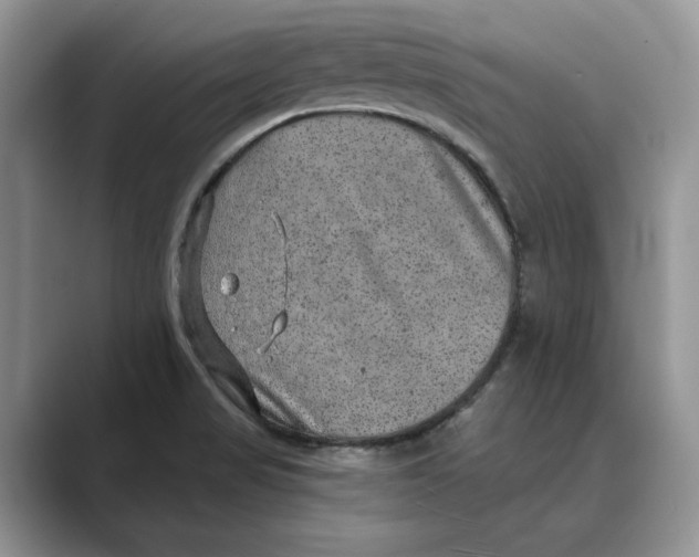 X0000088851517200707061023