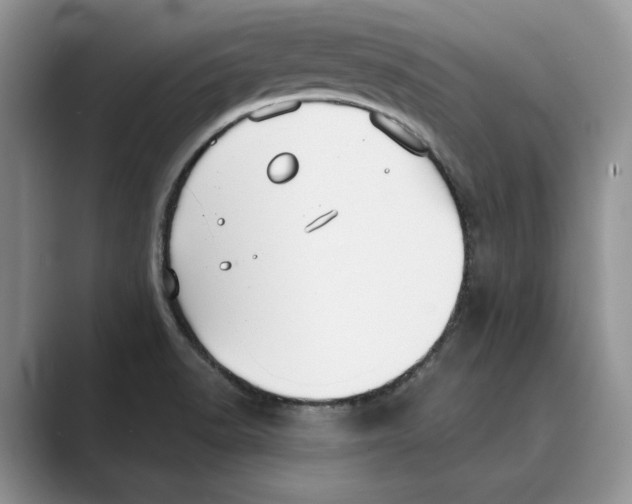 X0000088851518200707061023