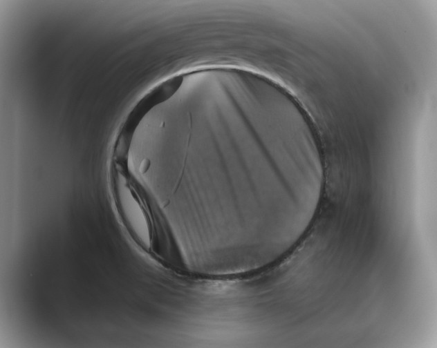 X0000088851519200707061023