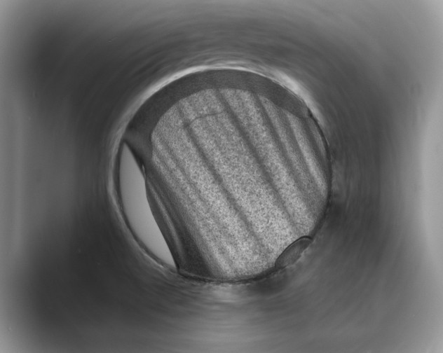 X0000088851520200707061023