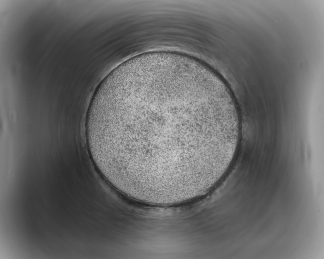 X0000088851521200707061023