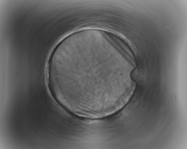 X0000088851522200707061023