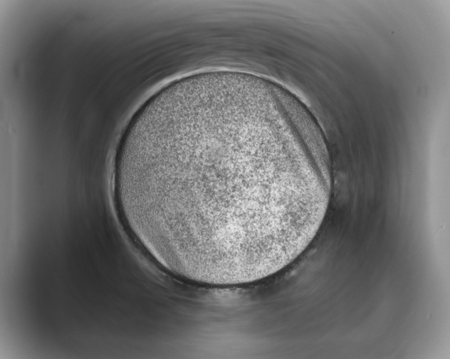 X0000088851523200707061023