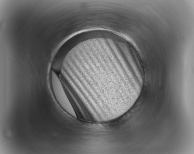 X0000088851524200707061023