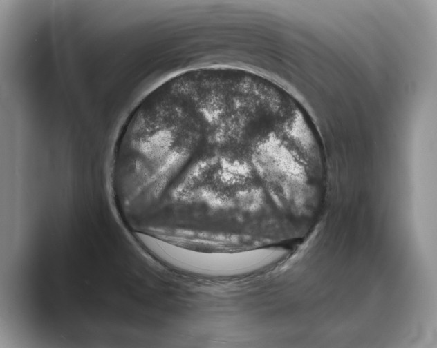 X0000088851525200707061023