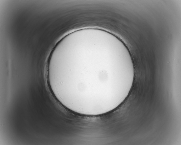 X0000088851526200707061023