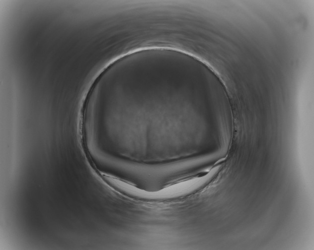 X0000088851527200707061023