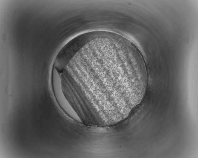 X0000088851528200707061023