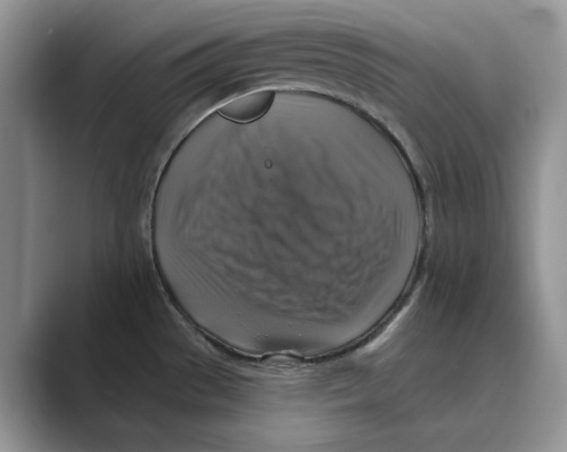 X0000088851529200707061023