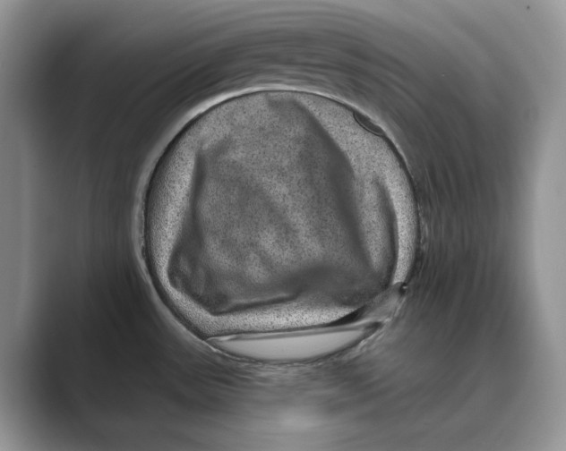 X0000088851531200707061024