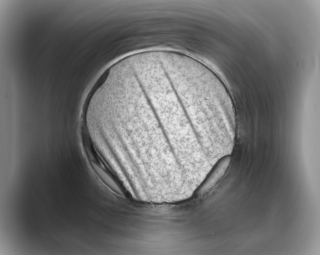 X0000088851532200707061024