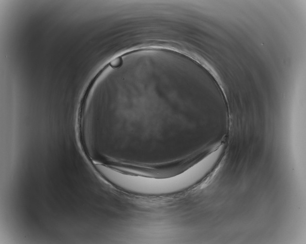 X0000088851533200707061024