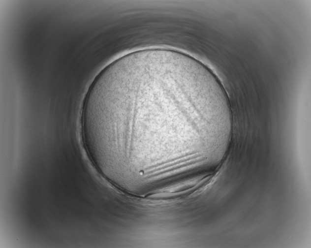 X0000088851534200707061024