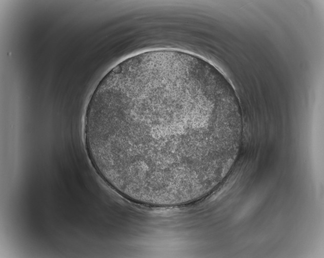 X0000088851535200707061024