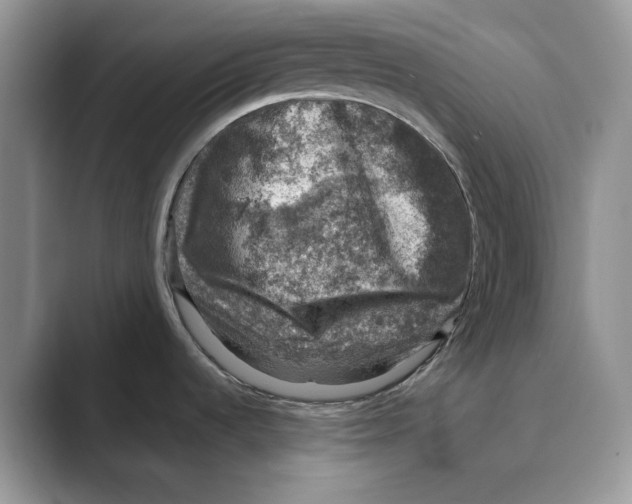 X0000088851536200707061024