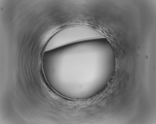 X0000088860005200706080802