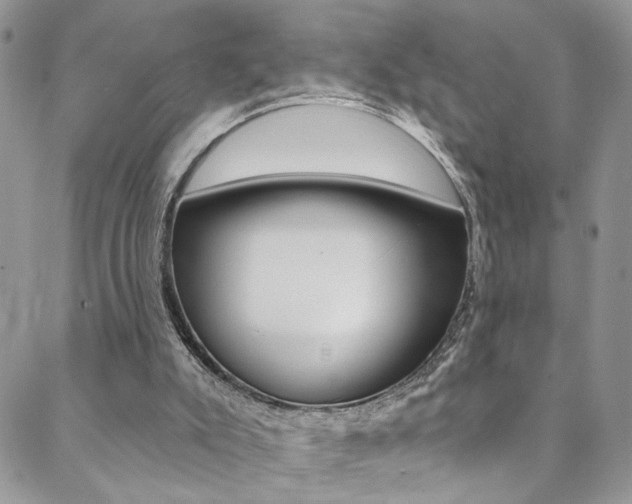 X0000088860007200706080802