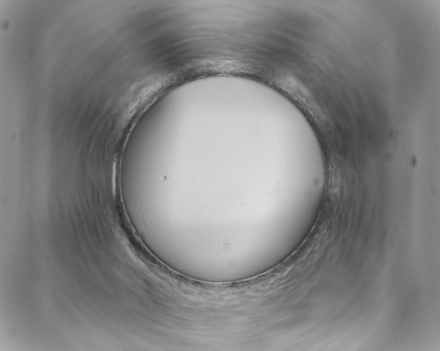 X0000088860014200706080802