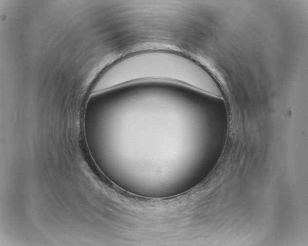 X0000088860015200706080802