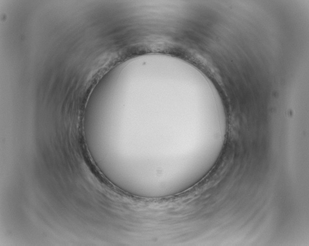 X0000088860018200706080802