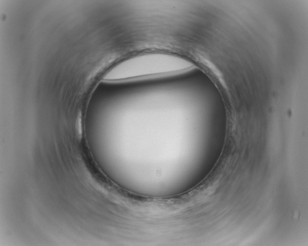 X0000088860020200706080802