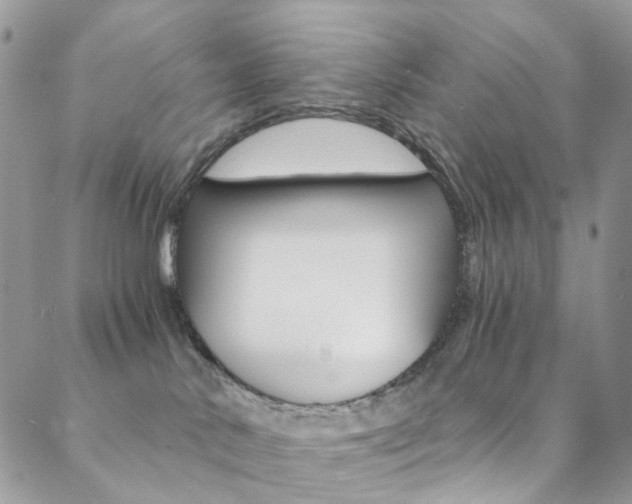 X0000088860042200706080801