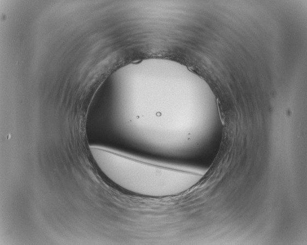 X0000088860044200706080801