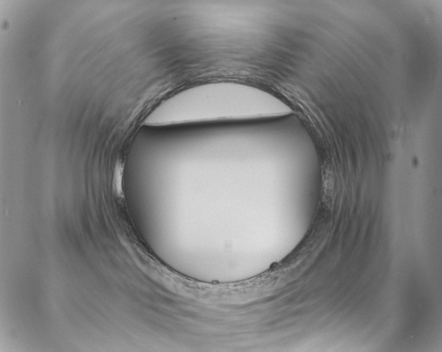 X0000088860046200706080801