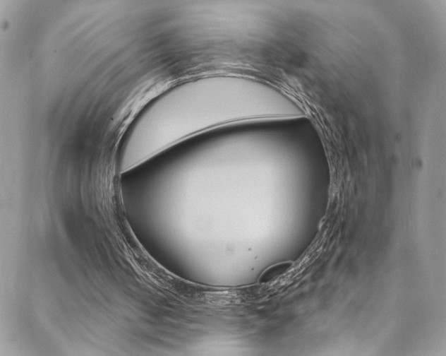 X0000088860050200706080801