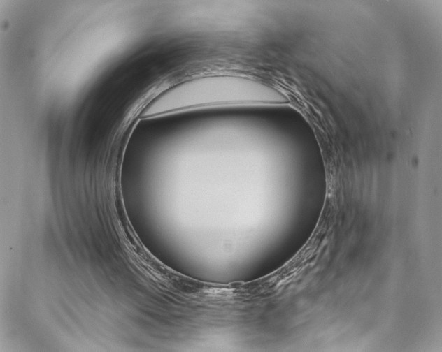 X0000088860052200706080801
