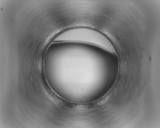 X0000088860064200706080801