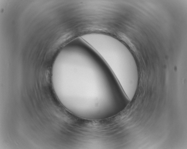 X0000088860071200706080801
