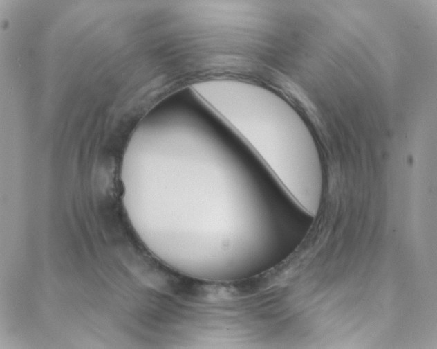 X0000088860073200706080801