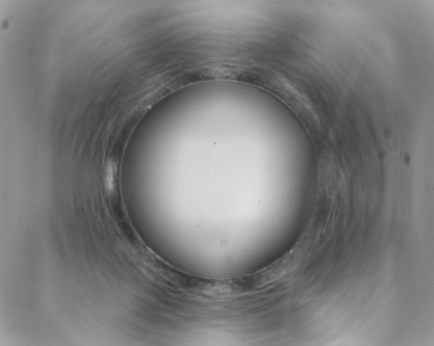 X0000088860075200706080801