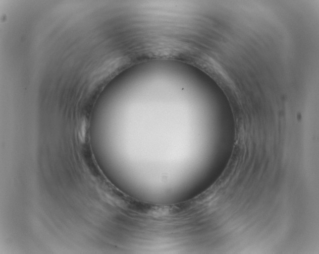 X0000088860076200706080801