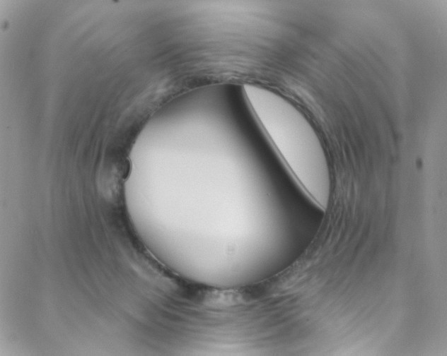 X0000088860077200706080801