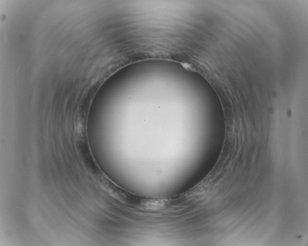 X0000088860084200706080801