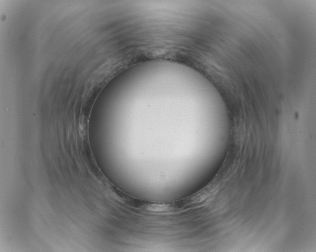 X0000088860085200706080801