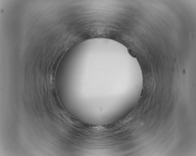 X0000088860087200706080801