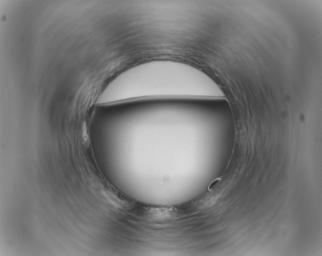 X0000088860089200706080801