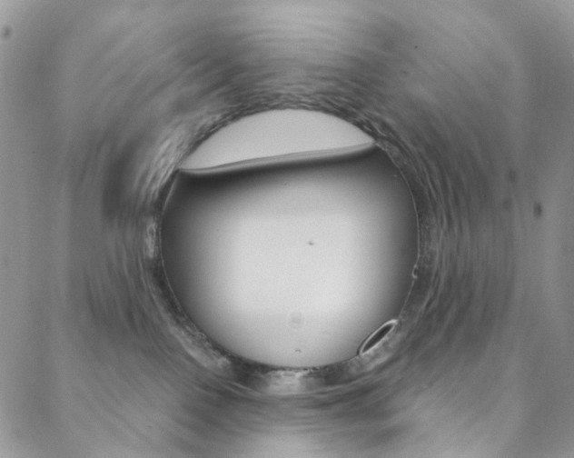 X0000088860090200706080801