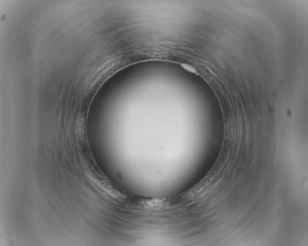 X0000088860092200706080801